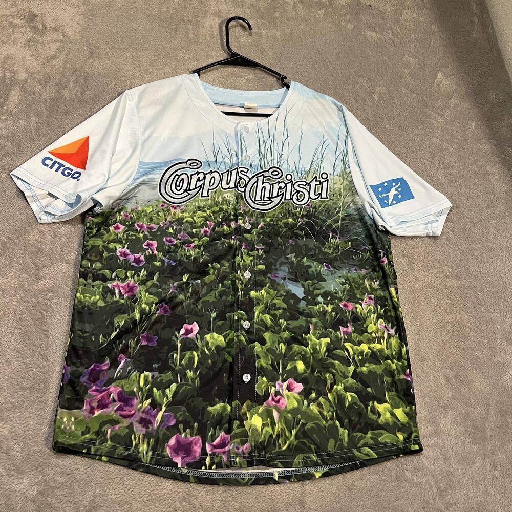 Corpus Christi Hooks Baseball Jersey Mens Large Blue Green MILB Button Front